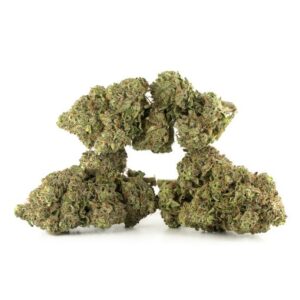 BC Kush
