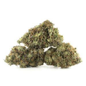 Master Kush