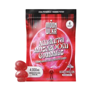 Amanita Mushroom Gummies — Watermelon