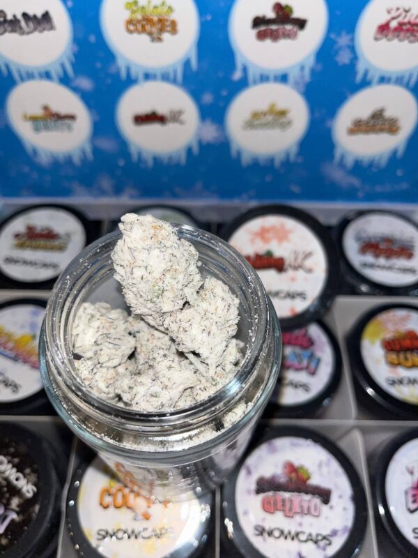 Persy Snowcaps - Image 3